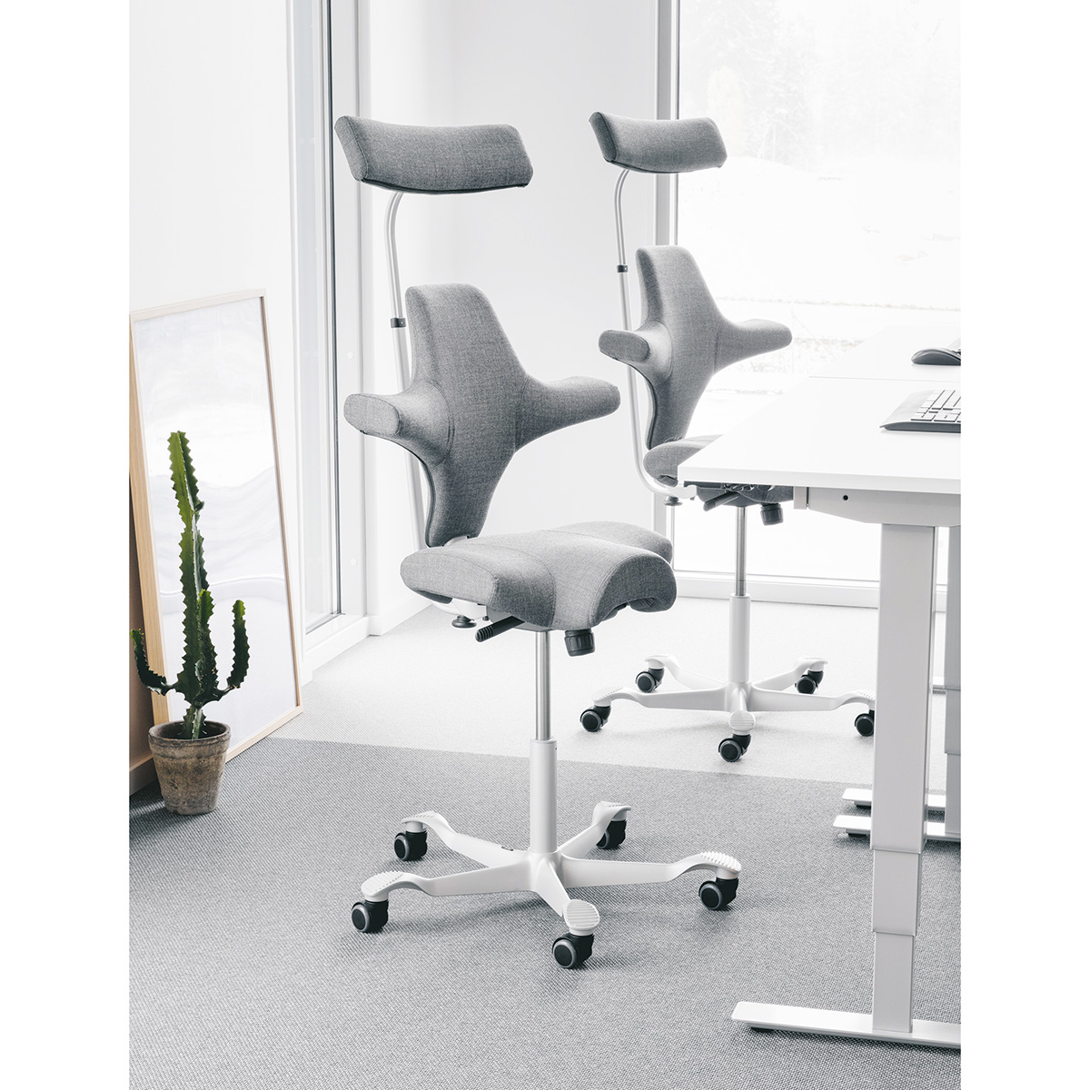 HAG Capisco 8126 Bürostuhl mit Flachsitz und ergonomischer Lehne